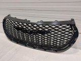 Radiator Grille